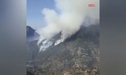 Osmaniye-Kahramanmaraş sınırında orman yangını 