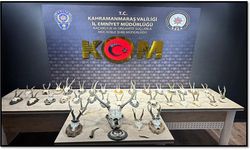 Kahramanmaraş’ta Karaca ve Geyik Trofesi Kaçakçılığı Operasyonu