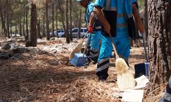 Sivricehüyük’teki Ormanlık Alanda Çevre Temizliği Yapıldı