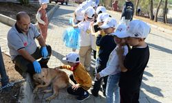 Rehabilite Edilen Sokak Hayvanları Öğrencilerle Buluştu