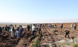 Dulkadiroğlu Belediyesi’nden Deprem Şehitleri Anısına Fidan Dikme Etkinliği