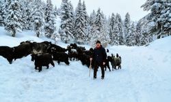 Kahramanmaraş'ta kar etkili oldu