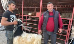 Hançer; “Kurban Fiyatlarının Açıklanmasını Bekliyoruz”