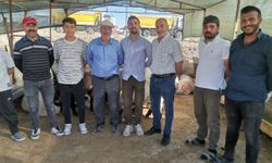 Kahramanmaraş’ta Kurbanlık Telaşı