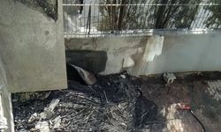 Kahramanmaraş’ta yangın korkuttu