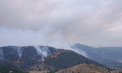 Kahramanmaraş'ta Orman Yangını Kontrol Altında