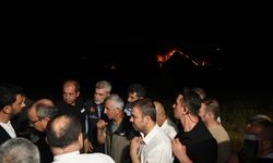 Başkan Görgel, Orman Yangını Alanında İncelemelerde Bulundu