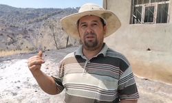 Kahramanmaraş'ta orman yangınında evi yanan vatandaş yetkililerden yardım istedi