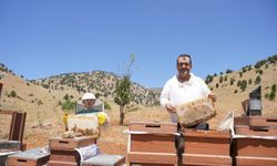 Kahramanmaraş’ta Bal Sağımı Başladı
