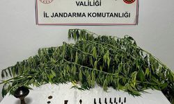 Kahramanmaraş’ta 18 kişi tutuklandı