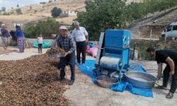 Kahramanmaraş’ta fındık yeni gelir kapısı oldu
