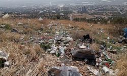 Kahramanmaraş’ta Çevre Katliamı: Zeytinlik Alan Alkol Şişeleriyle Dolu