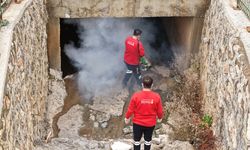 Vektör Zararlılarına Karşı Kışlak İlaçlama Başladı