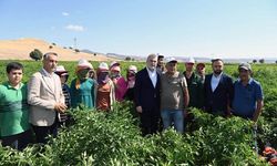 2025’te Çiftçiye 100 Milyonluk Destek, Üretime Güç…