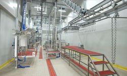 50 Milyonluk Yatırımla Şehre Modern Kesimhane…