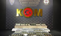 Kahramanmaraş’ta kaçakçılık operasyonu