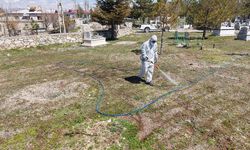 Mezarlıklarda Kapsamlı Yenileme Başlatıldı