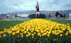 Şehir Çiçek Açtı; Kavşaklarda Görsel Şölen