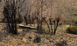 Kahramanmaraş’ta Alarm Dağlık Alanda Füze Bulundu