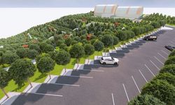 75 Bin Metrekarelik Karbon Yutak Alanı’nda Çalışmalar Sürüyor