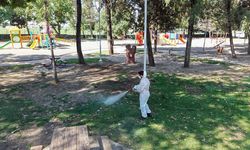 Büyükşehir, Kene ve Zararlılara Karşı Yeşil Alanlarda Nöbette
