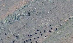 Kahramanmaraş’ta Berit Dağı’nda mahsur kalan kadın kurtarıldı