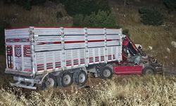 Kahramanmaraş’ta tır şarampole uçtu: 1 yaralı