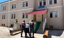 Andırın’da Köpeğe Şiddet İddiasına Gözaltı