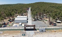 Büyükşehir ve Sahipsiz Hayvanları Koruma Birliği’nden 5 Binin Üzerinde Can Dostuna Güvenli Yaşam Alanı