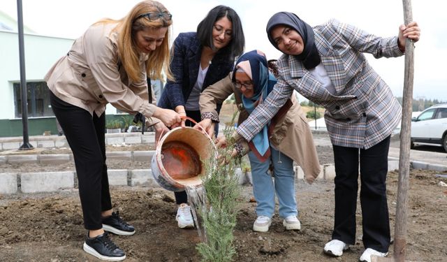 Karacasu Kampüsü Ağaçlandırıldı