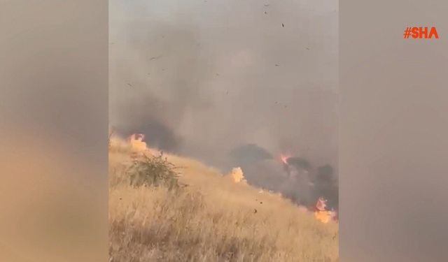 Dulkadiroğlu’nda  orman yangını
