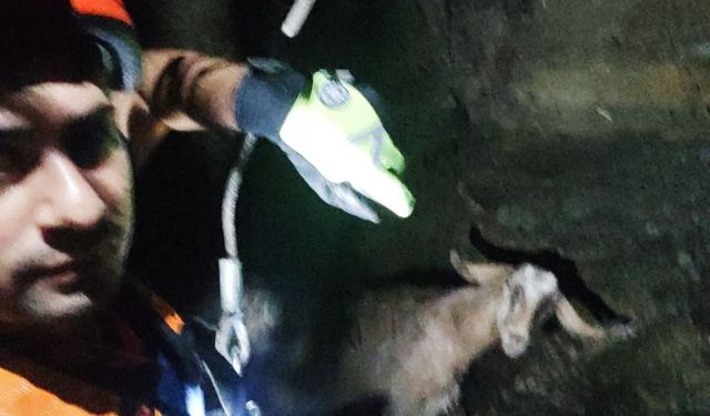 Türkoğlu’da itfaiye ekiplerinden keçi kurtarma operasyonu