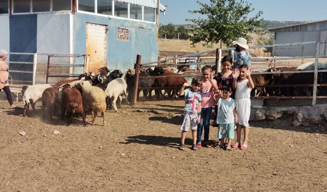 Pazarcık’ta bölgenin en büyük hayvan çiftliğini kurdu