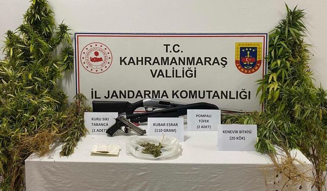 Kahramanmaraş’ta evinde kenevir yetiştirdi yakalandı