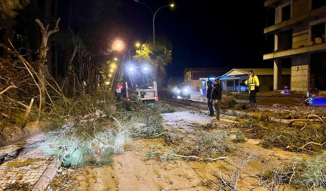 Kahramanmaraş'ta Fırtına Felaketi: Saatte 95 Kilometre Hız Aştı