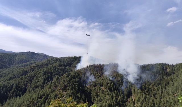 Kahramanmaraş’ta orman yangını