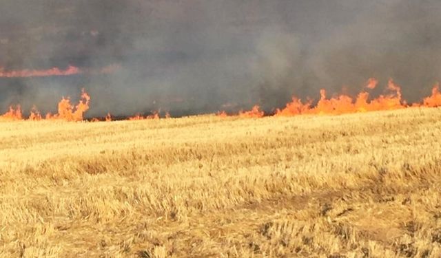 Anız Yangını Uyarısı: Doğa ve Güvenlik Tehdidi Artıyor