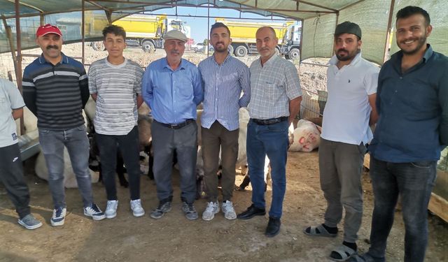 Kahramanmaraş’ta Kurbanlık Telaşı