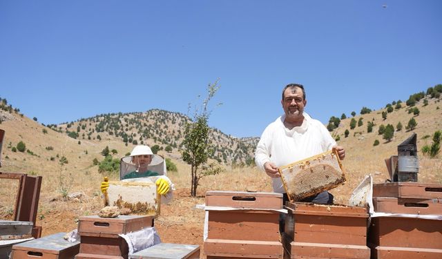 Kahramanmaraş’ta Bal Sağımı Başladı