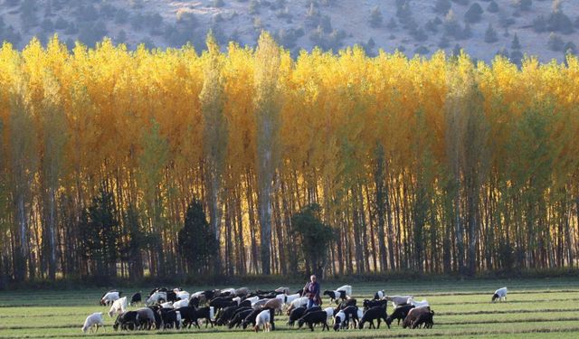 Kahramanmaraş’ta Sonbahar Cümbüşü