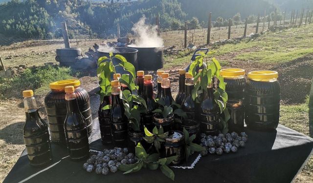 Andırın’da Tescilli Andız Pekmezi Üretimi Başladı