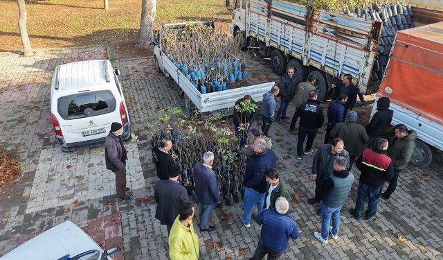 Bin 500 Üreticiye 193 Bin Adet Fidan Desteği