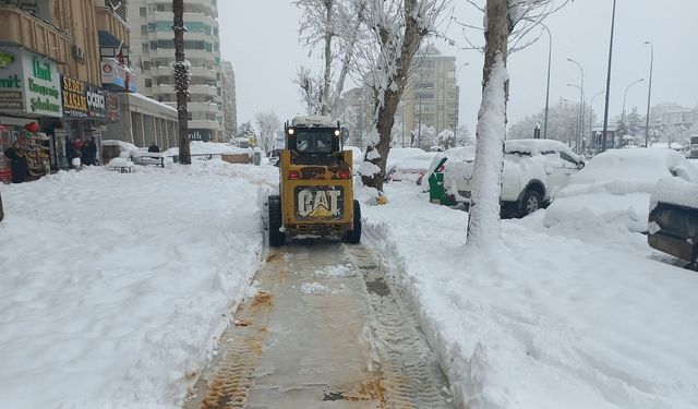 Yürüyüş Yolları Temizleniyor…