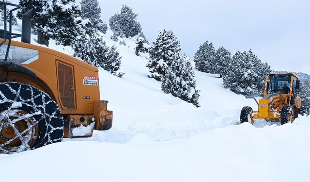 Karla Mücadele Koordineli Şekilde Sürüyor