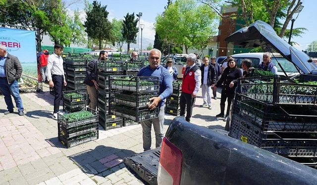 Üreticiye 650 Bin Hibe Biber Fidesi!