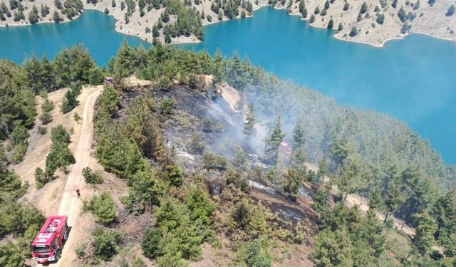 Kahramanmaraş’ta orman yangını
