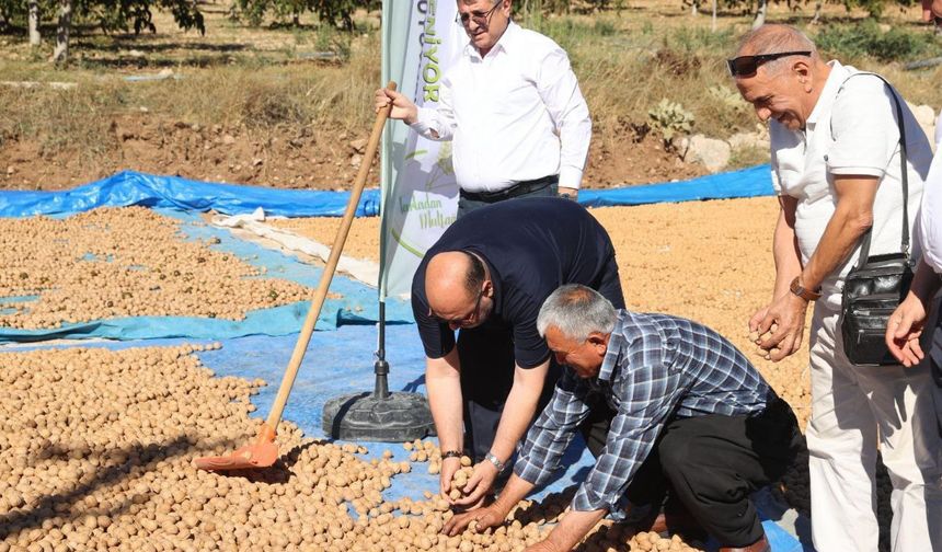 Kahramanmaraş’ta coğrafi tescilli ceviz ihracatı başladı