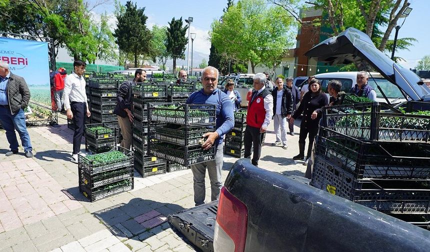 Üreticiye 650 Bin Hibe Biber Fidesi!