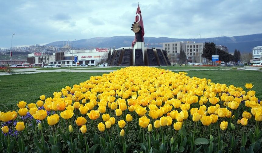 Şehir Çiçek Açtı; Kavşaklarda Görsel Şölen