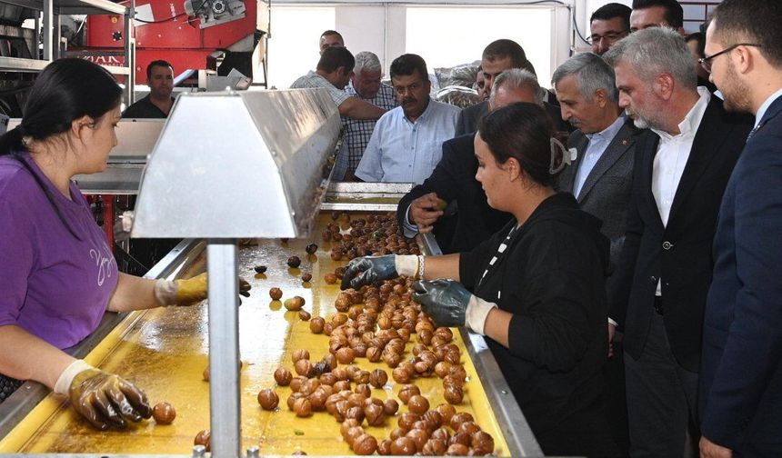 Büyükşehir’den Tarımsal Kalkınmada Stratejik Vizyon, Üreticiye Tam Destek!